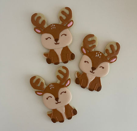 Cookie design 14